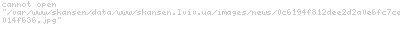      ,     -2017   ()