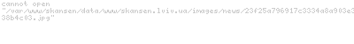 Google   ,    