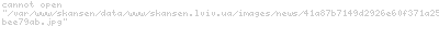 Vianor:    