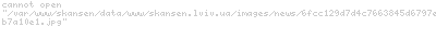      ,  ,      ()