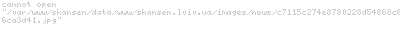 Focus:       -    